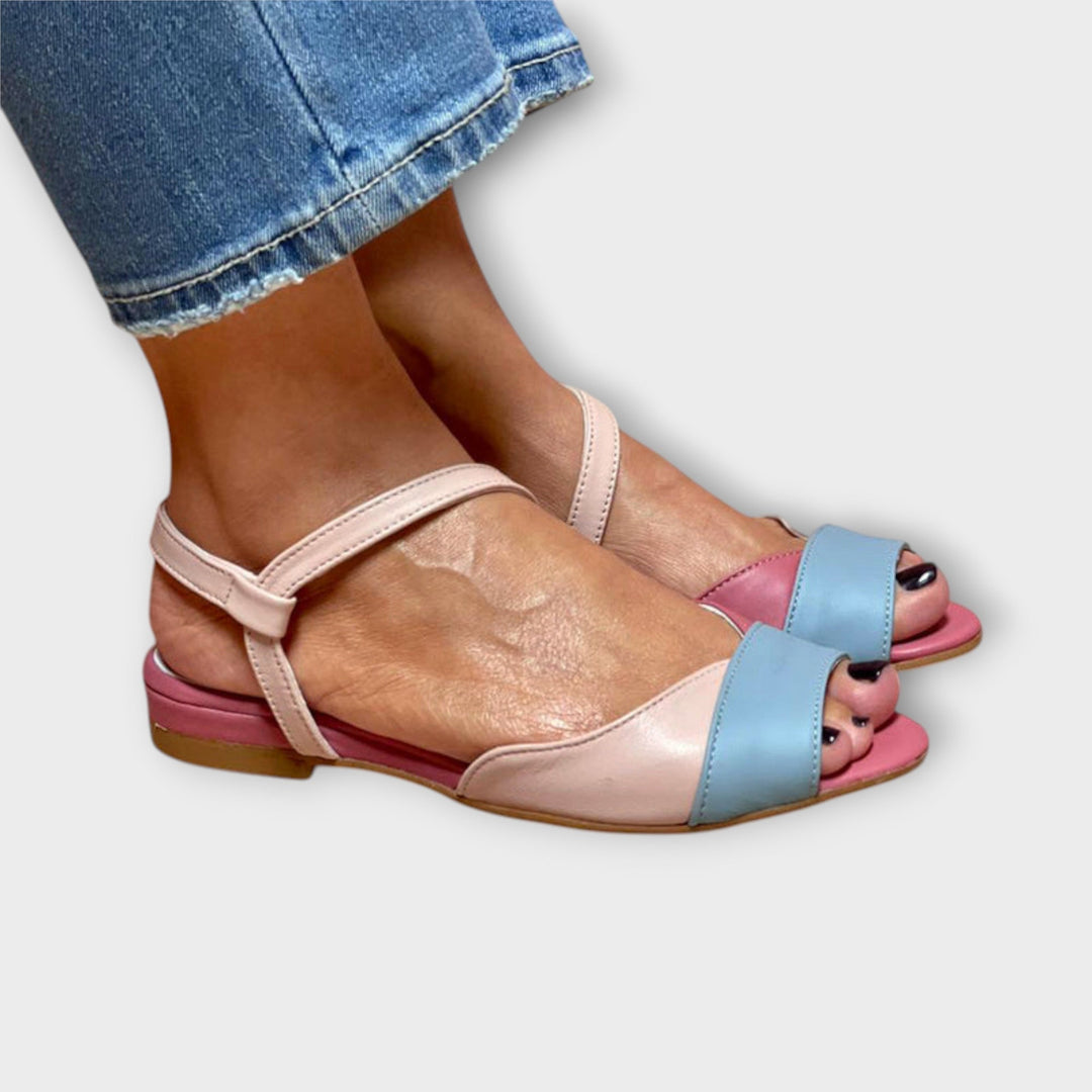 Roselina – Blok peta u boji